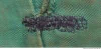 Photo Texture of Fabric Damaged 0029